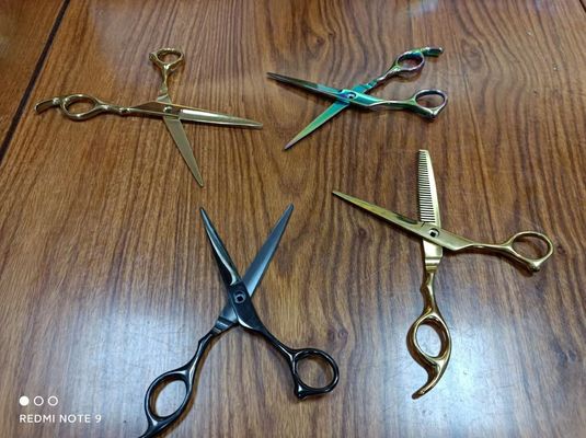 ফুল অটো হাই-এন্ড স্টেইনলেস স্টীল ঘড়ি সোনার পিভিডি লেপ মেশিন